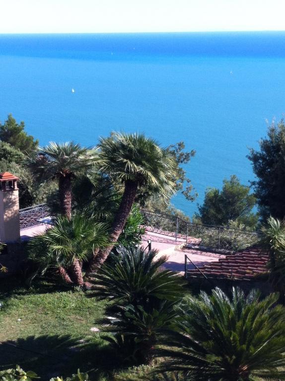 אמליה B&B Le Palme מראה חיצוני תמונה
