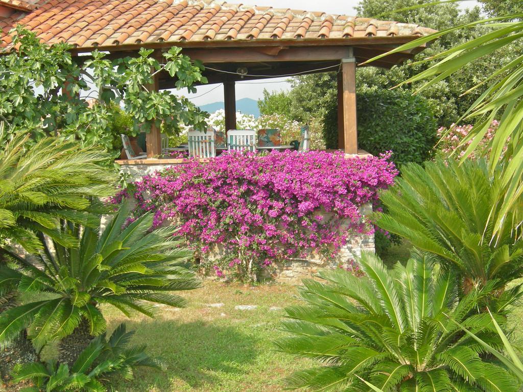 אמליה B&B Le Palme מראה חיצוני תמונה