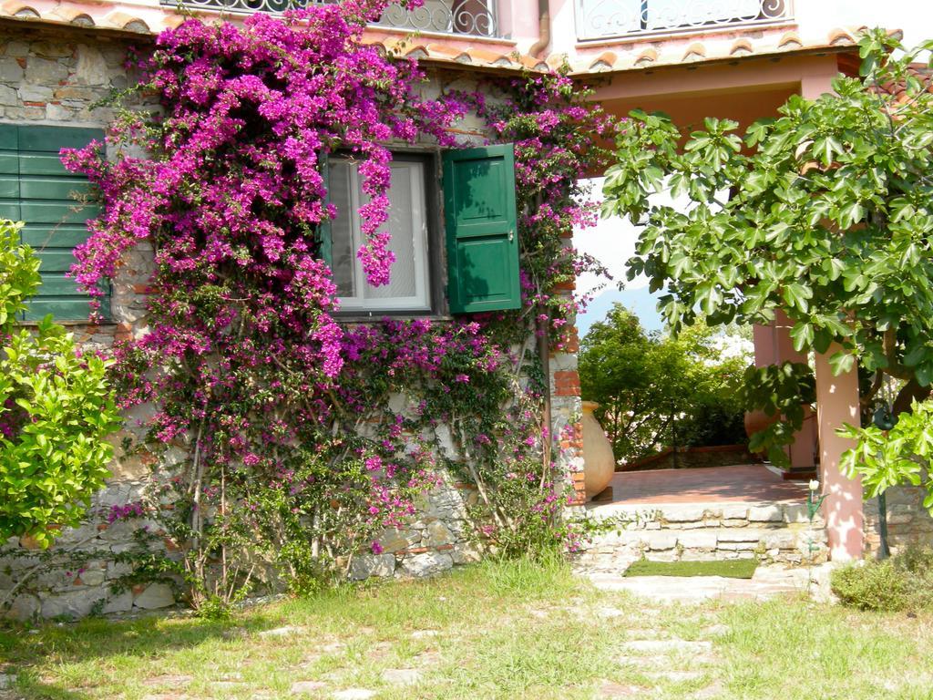 אמליה B&B Le Palme מראה חיצוני תמונה