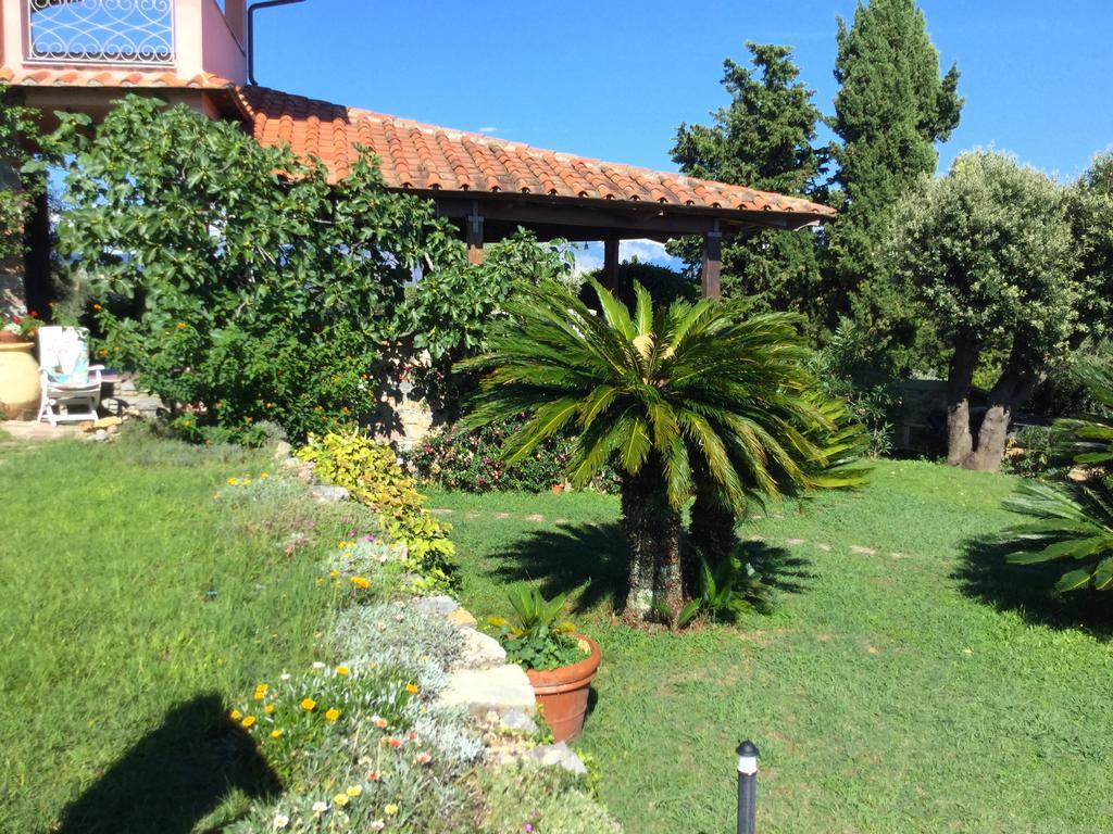 אמליה B&B Le Palme מראה חיצוני תמונה