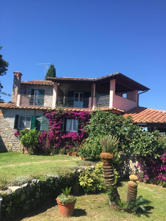 אמליה B&B Le Palme מראה חיצוני תמונה
